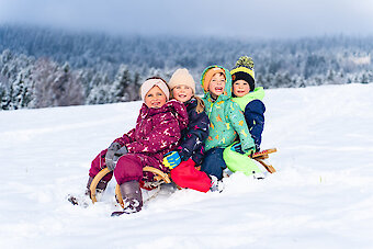 Schlittenfahren im Winter in Neureichenau